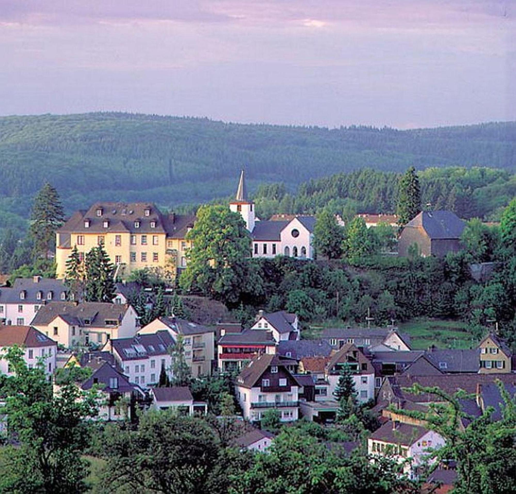 Ferienwohnung Vulkaneifel In Даун Екстериор снимка